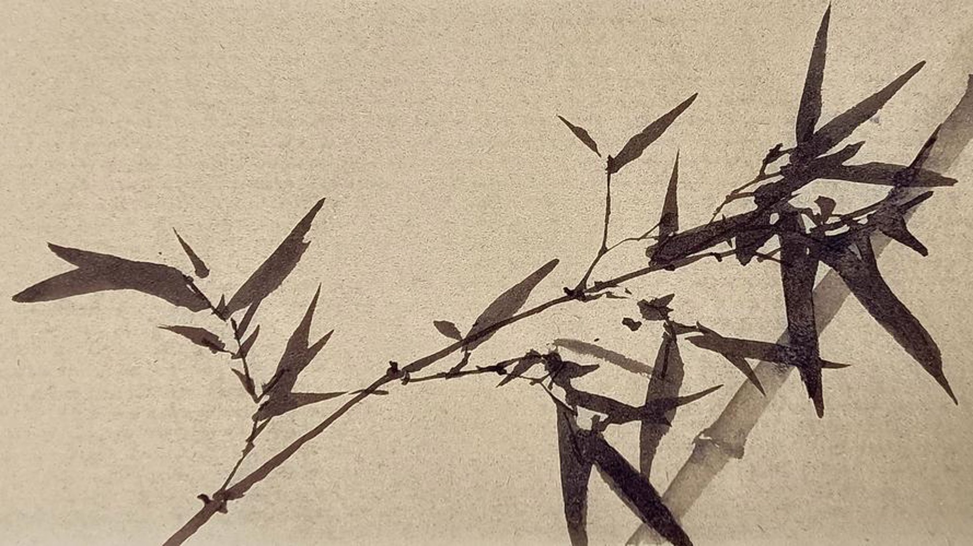国画欣赏：走进艺术的殿堂